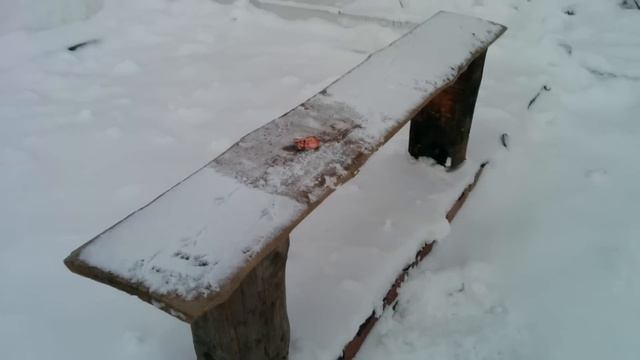 Петарда Новогодняя "Бабочка" 2015, январь. смотреть онлайн