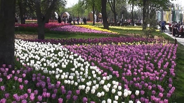 Праздник цветов в парке "Веселка" - Левый берег Мариуполь 28.04.2019 50fps смотреть онлайн