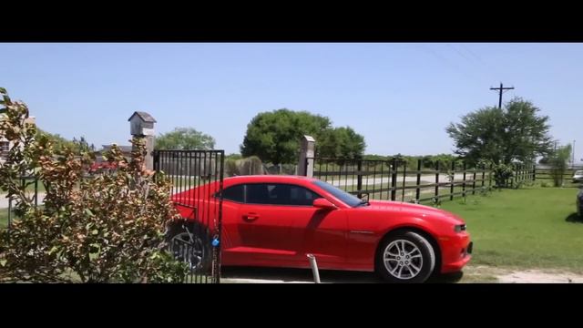 🎥 LA NUEVA BANDA DEL CARRO ROJO - Película completa en Español 🎬 смотреть онлайн