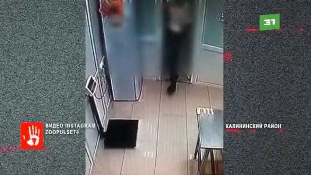В Златоусте полицейские вычислили подозреваемого в краже ноутбука из магазина смотреть онлайн