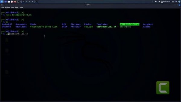 How to create and run a bash shell script in kali linux 2022