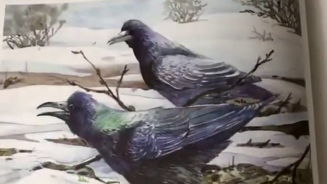 Буктрейлер книги В. Бианки "Синичкин календарь" смотреть онлайн