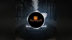 Подъехали на тонировке на выхлопах громких