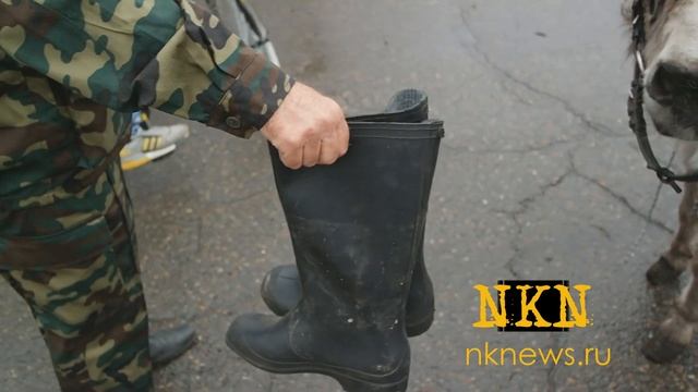 Девушка верхом на осле попыталась форсировать реку в Новокузнецке смотреть онлайн