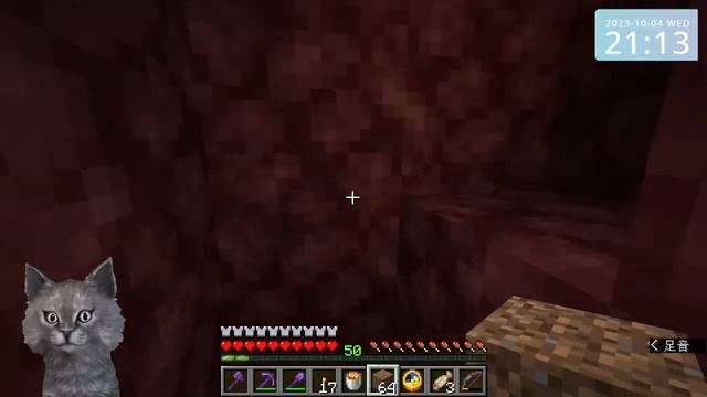 Minecraft test (Java Edition 1.20.1+MOD) смотреть онлайн