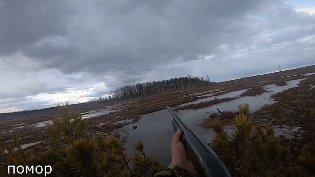 Охота на гуся. НАЛЁТЫ В УПОР. Шашлык из гуся. смотреть онлайн