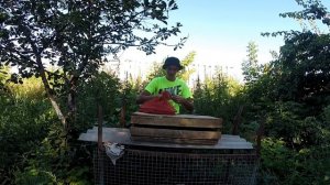 САДОК СВОИМИ РУКАМИ !КАК СДЕЛАТЬ САДОК ЗА 0 РУБЛЕЙ