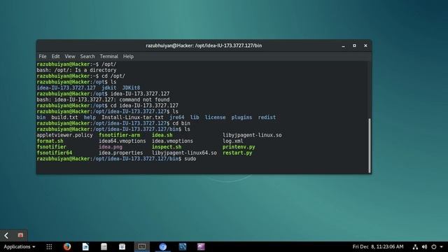 Installing intellij idea on debian stretch смотреть онлайн