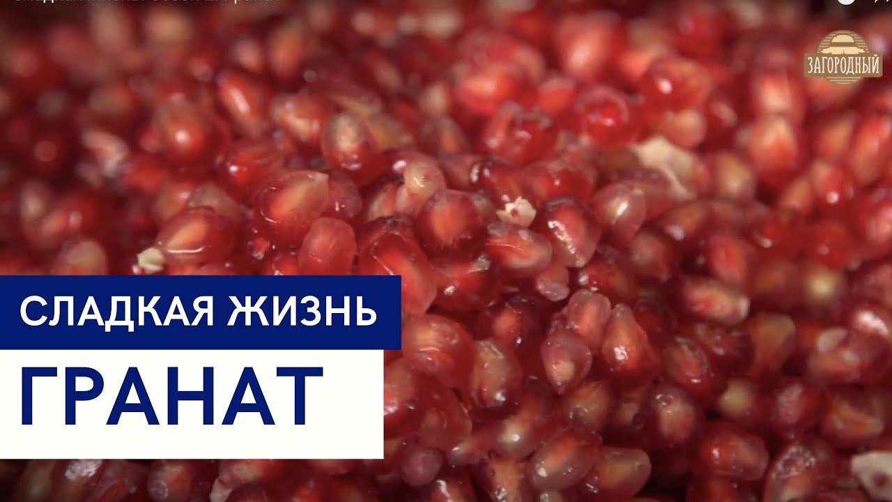 Гранат \ Рецепты из граната \ Суп, салат, соус \ Сладкая жизнь