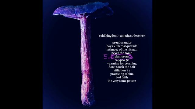 Sold Kingdom - Amethyst Deceiver - 05 Glamorous смотреть онлайн
