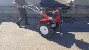 Мотоблок Shtenli profi с дифференциалом