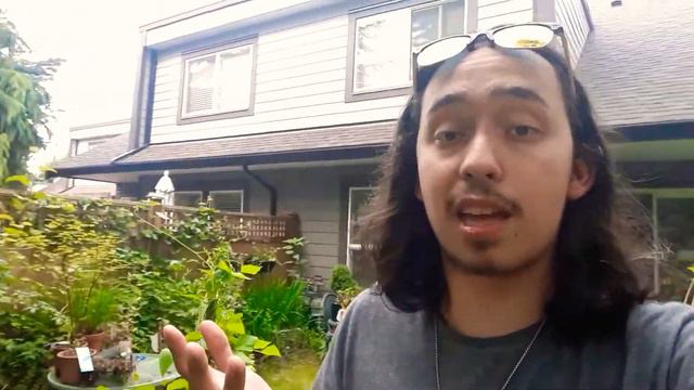 Potato bins update :)) (Growing potatoes in containers) смотреть онлайн