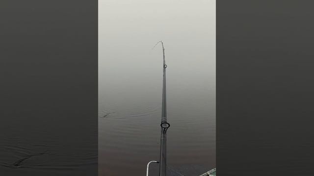 Рыбалка на троллинг. Свеча щуки.Бешенные танцы-щучий джаз.
