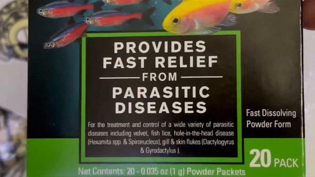 My 3 Tips for a Fish REFUSING to Eat [Don’t Let them Waste Away and Die] Instead Do This! смотреть онлайн