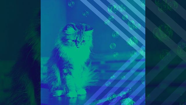 Мечты (Спокойные Кошки) смотреть онлайн