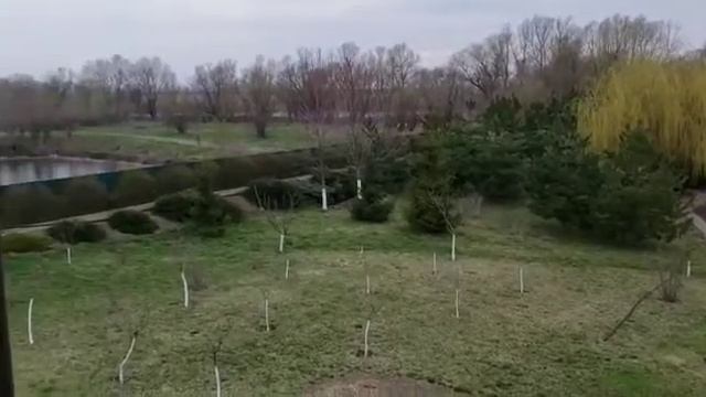 День Рождения Славика, вид с отеля "Маями" на реку Днестр, внук Сашенька катается на велосипеде. смотреть онлайн