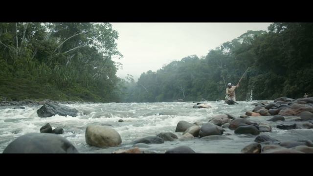 The Dorado - April Vokey смотреть онлайн