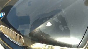 Как устранить проблему с лаком на машине