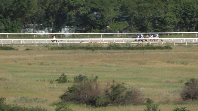 14.07.2019 - 12 Скачка на лошадях 2-х лет ахалтекинской породы - Карамерген смотреть онлайн