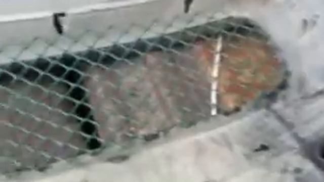 тюнинг бампера смотреть онлайн