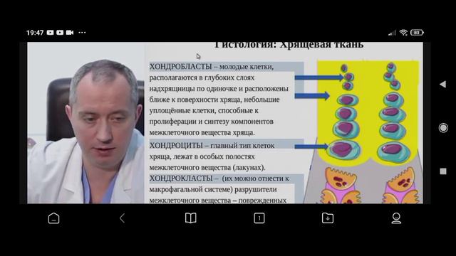 1 Вебинар Шишонина 2020 10 14 Время 19 09 43 2 13Гб смотреть онлайн