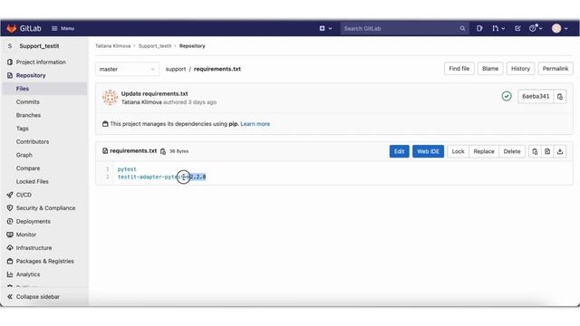 Настройка вебхука с GitLab на примере Pytest смотреть онлайн