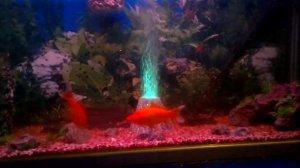 вулкан распылитель для аквариума