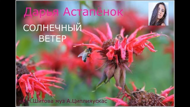Солнечный ветер ( музыка А Циплияускас слова Н.Шитова исполняет Дарья Астапёнок) смотреть онлайн