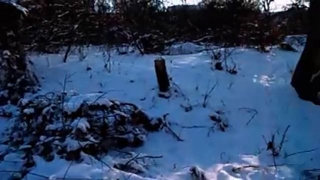 САМВЕЛ ЛЮБИТ КОТА БОЛЬШЕ ЧЕМ МАТЬ. GRANDENIKO ПРОСНУЛСЯ В СТАЛИНКЕ смотреть онлайн