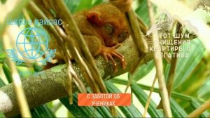 ОЧИЩЕНИЕ КВАРТИРЫ ОТ НЕГАТИВА Шум Андрея Дуйко- для  очищения квартиры