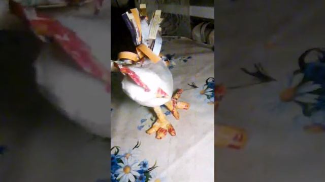 Как сделать петушка смотреть онлайн