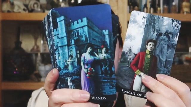 CARDSLINGER || SAMHAIN DECKS (Tarot & Oracle) смотреть онлайн