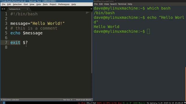 Bash Scripting 4 -- How Bash Scripts Work смотреть онлайн