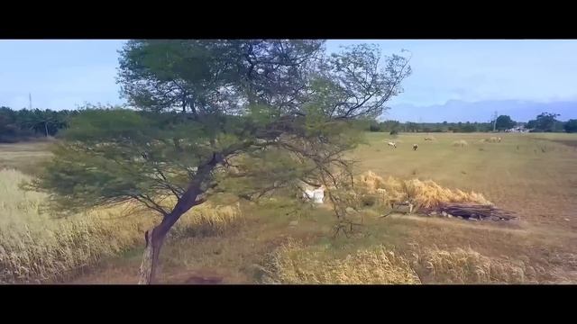 Uruguthey Maruguthey - Flute cover by Rajesh Cherthala from the Tamil Movie Veyil смотреть онлайн