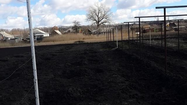 Работы на винограднике весной, до раскрытия кустов и сразу после смотреть онлайн