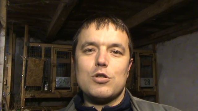 Лапка кролика смотреть онлайн