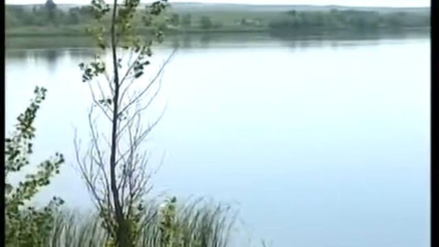 Скат: сюжет про кубок самарской области Гавриловка смотреть онлайн