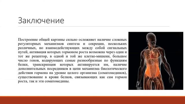 Заседание 2 (19.11.2020) "Эндокринная система" смотреть онлайн