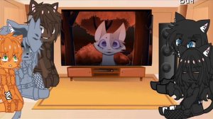 -^Реакция котов воителей^-Опимание!^-