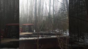 ДонгФенг 244G2 работает в лесу