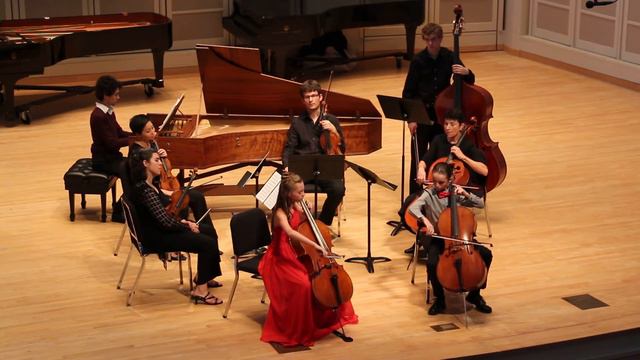 Vivaldi - Concerto for 2 Cellos in G minor Luka Coetzee & Elliot Sloss смотреть онлайн