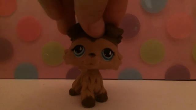 LPS"ВИТЕ НАДО ВЫЙТИ"-КЛИП смотреть онлайн