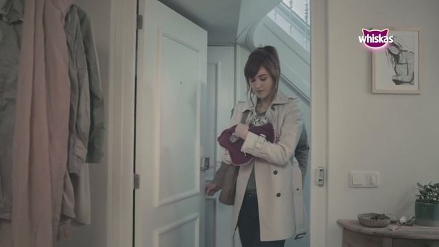 WHISKAS® | Most Curious