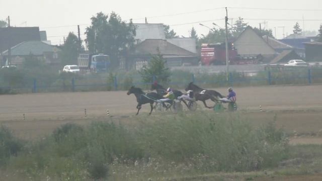 Рысаки 4 х лет и старше 2400м. Емельяновский ипподром 2019 сельский смотреть онлайн