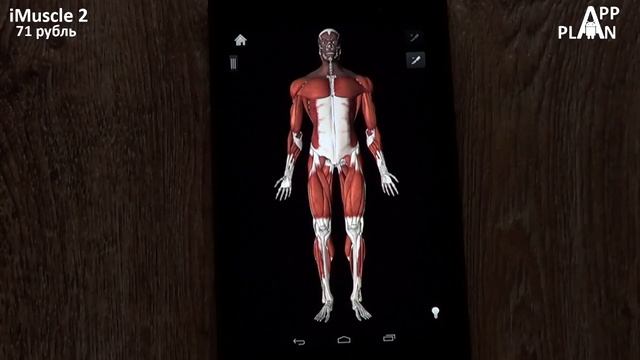 App Plan #78 "Деньги Mail.Ru" смотреть онлайн
