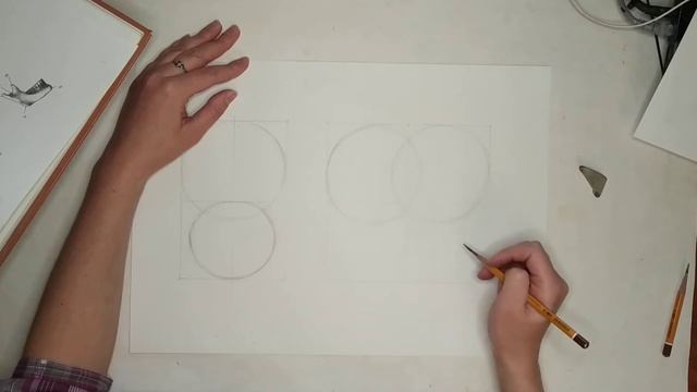 Череп, ч.1 смотреть онлайн
