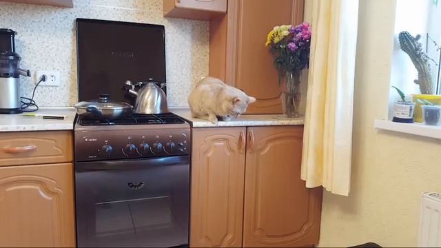 ?Плетем Лягушку из бумажных трубочек 2! Запись трансляции! смотреть онлайн
