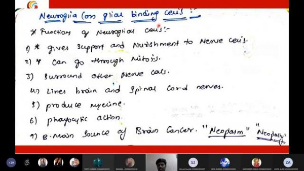 Nervous Tissue Basic Cell cycle