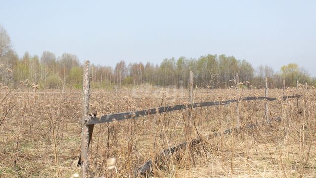 8120065 смотреть онлайн
