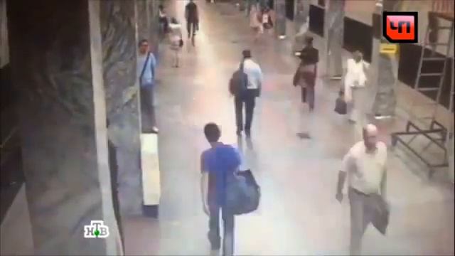 Камера в метро записала похитительницу собаки-поводыря слепой певицы смотреть онлайн